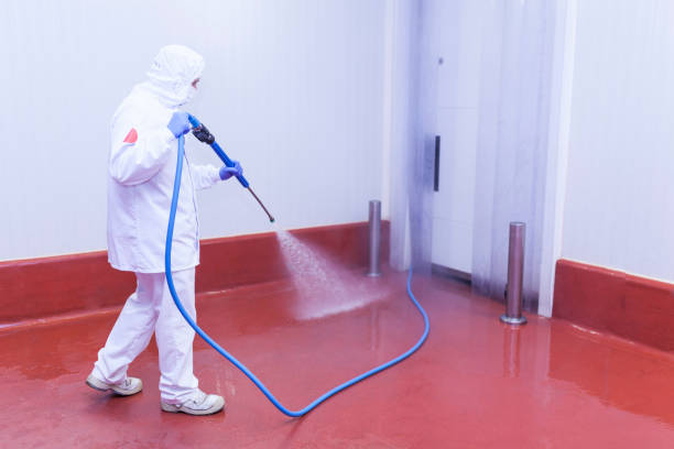 Best Spring Cleaning  in Plano, TX