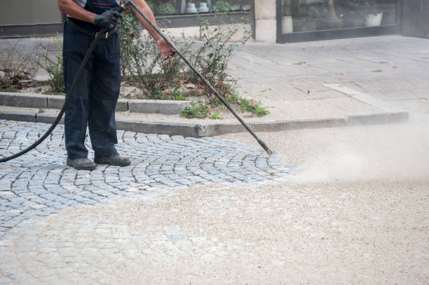 Best Driveway Pressure Washing  in Plano, TX